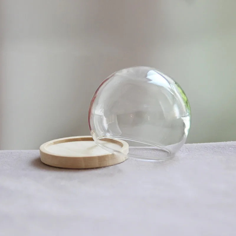 vase boule verre transparent base bois couvercle fleurs séchées