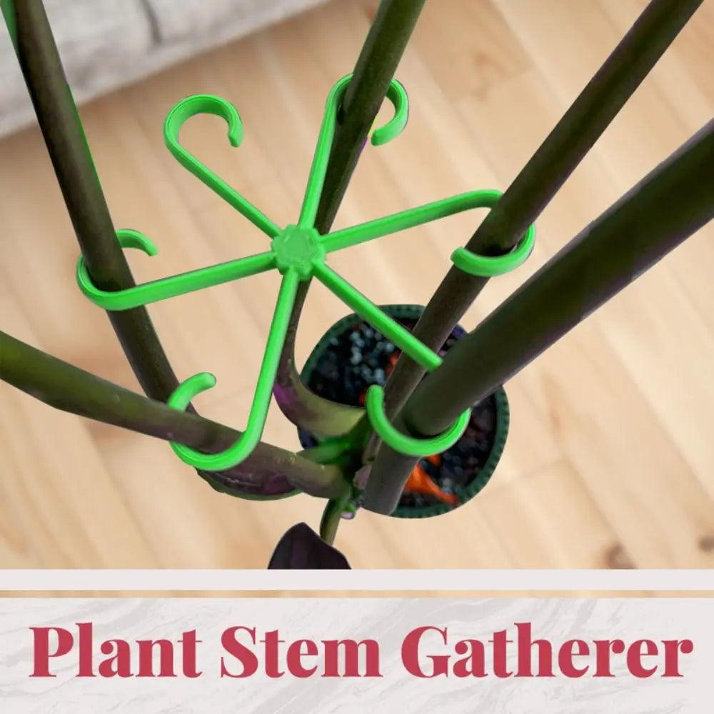 soutien tige plante repliant cadre évaluant branches outil jardin fixant fleurs six branches étoile