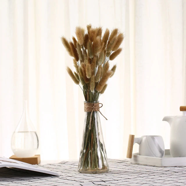 décoration maison plante séchée pampa moelleuse naturelle vase dried flowers beige rustiqueintérieur