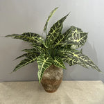 plantes artificielles feuilles larges vertes décoration tropical extérieur imitation végétal texturé 71cm