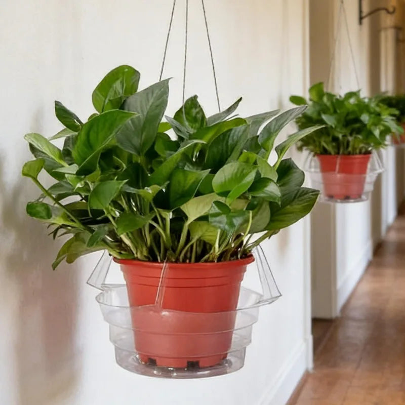 supports plante suspendus transparents modernes clips gravés jardin maison salon chambre