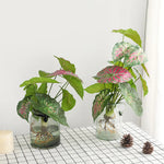 plantes artificielles vertes feuilles soie decoration extérieur moderne minimaliste
