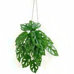 plantes artificielles vertes feuilles perforées modernes décoration intérieure pot tropical