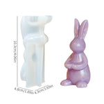 moule silicone gâteau forme lapin relief artisanal décoration cuisine gourmande festive