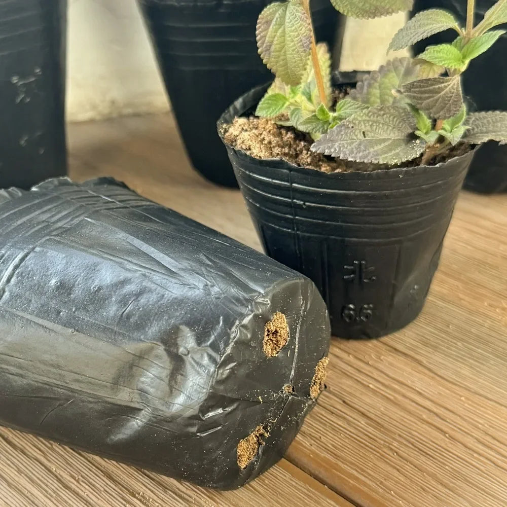 pots fleurs noirs opaques bacs pépinière plastique simples utilitaires plantes 13 10 cm