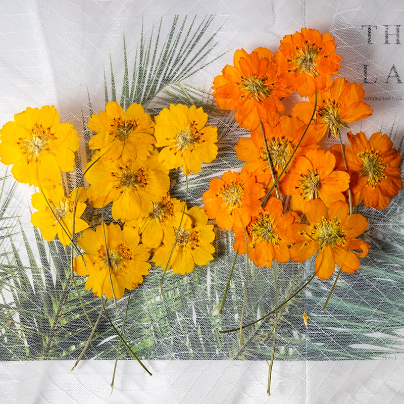 fleurs séchées orange jaune naturel decoration intérieur stamens petals clips artificiel rustic DIY