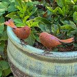 statuettes oiseaux marron rouille décor extérieur jardin rustique pots fleurs métal texturé patine verteextérieur
