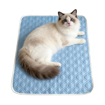 tapis rafraîchissant animaux compagnie bleu clair gris moderne auto refroidissant été chat chien tapis