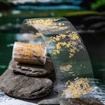 rubans décoratifs transparents fleurs feuilles adhésifs naturels floral vert blanc violet rose jaune