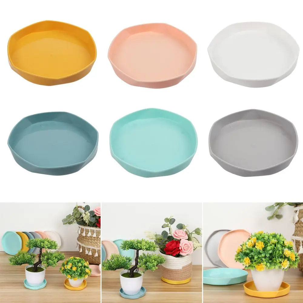 assiettes modernes minimalistes jaune rose blanc vert bleu gris plastique 11cm 14.5cm