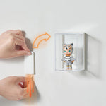 boîtes rangement transparentes pliables figurines collection modernes cartoonesques respectueuses l'environnement