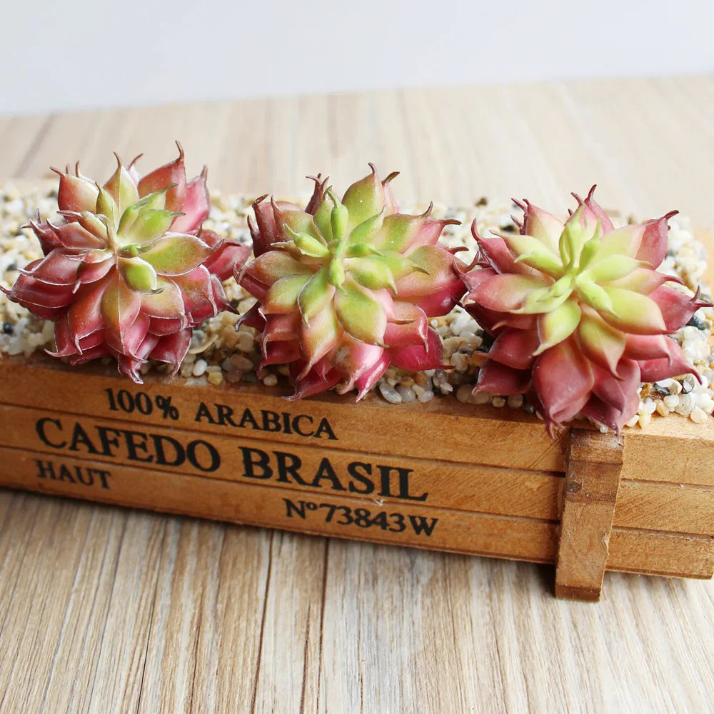 décoration intérieure extérieure plante artificielle succulente vert rouge caisse bois rustique naturelle élégante