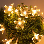 guirlande lumineuse fleurs célestes auto batterie blanc doré féerique intérieur 10m 80leds