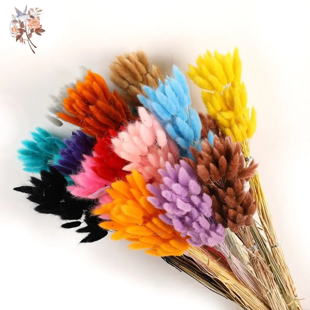 décoration maison plumes multicolores modernes boho bouquet fleurs sèches arrondies