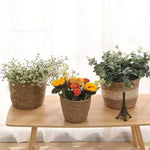 paniers rotin tissé naturel mini small medium large rangement deco terrasse rustic boho chic
