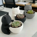 cache pot forme chat texture cuir moderne noir blanc gris drainage succulentes cactus chambre