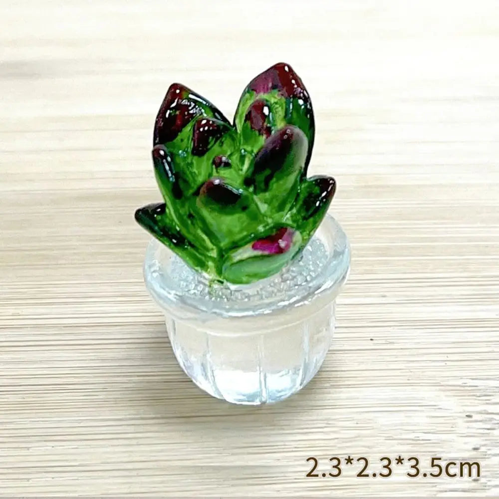 miniature cactus résine verte jaune rouge artisanale transparente décoration extérieure succulente