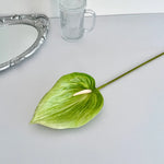 fleurs artificielles anthurium rose blanc vert violet rouge modernes mariage anniversaire intérieur