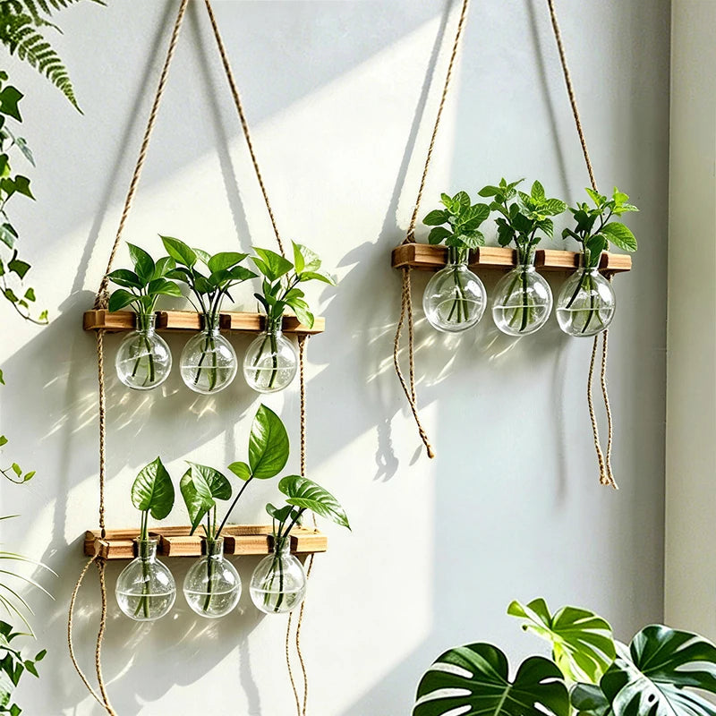 support mural plantes suspendues bois naturel verre transparent motifs végétaux rustique minimaliste cordon suspension