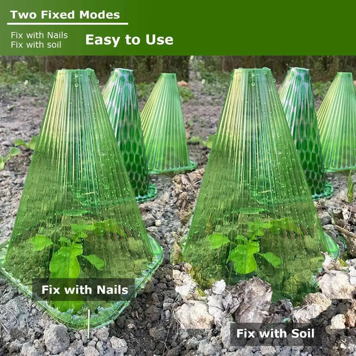 cache plantes vert transparent rayures conique fixé sol protection plantes gel oiseaux escargots