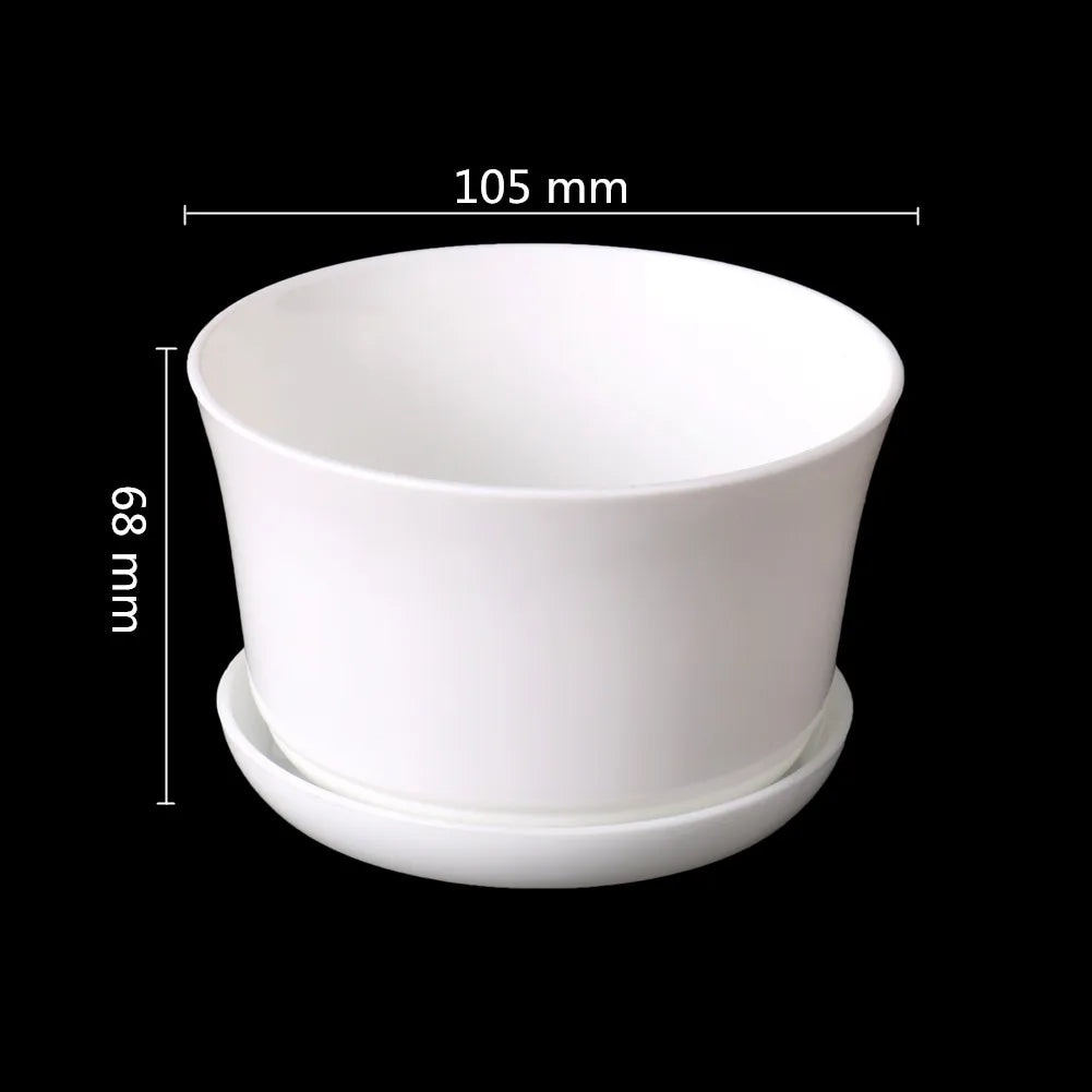 pot fleurs blanc moderne plateau succulentes bonsaï plastique