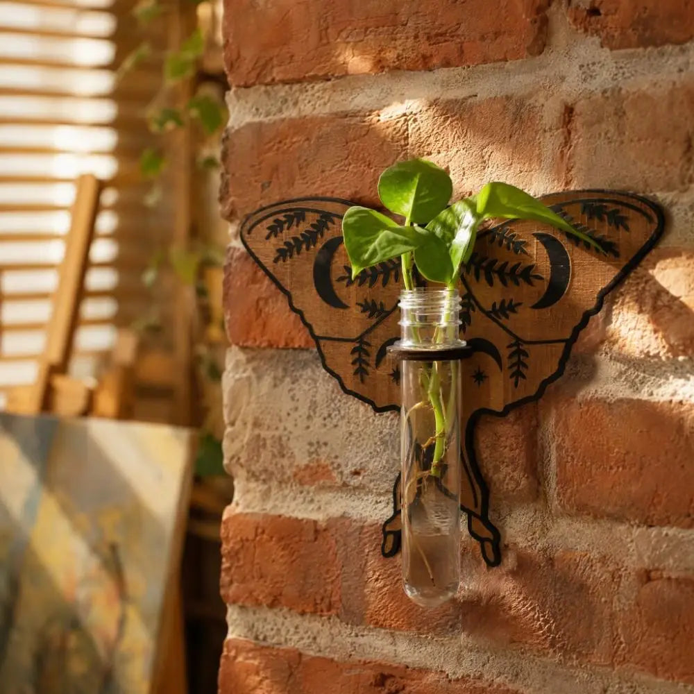 support mural boho chic plante papillon floral clips marron vert transparent