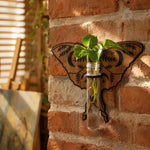 support mural boho chic plante papillon floral clips marron vert transparent