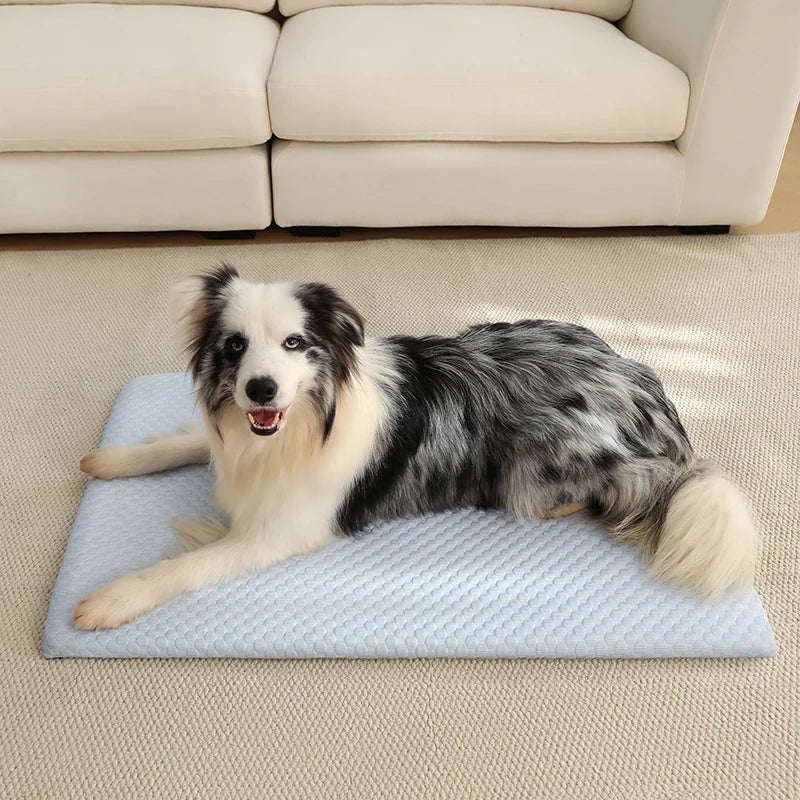 tapis animal texture points gris moderne respirant taille 75x50cm lavable