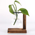 vases verre transparents plantes vertes support bois industriel décoration minimaliste
