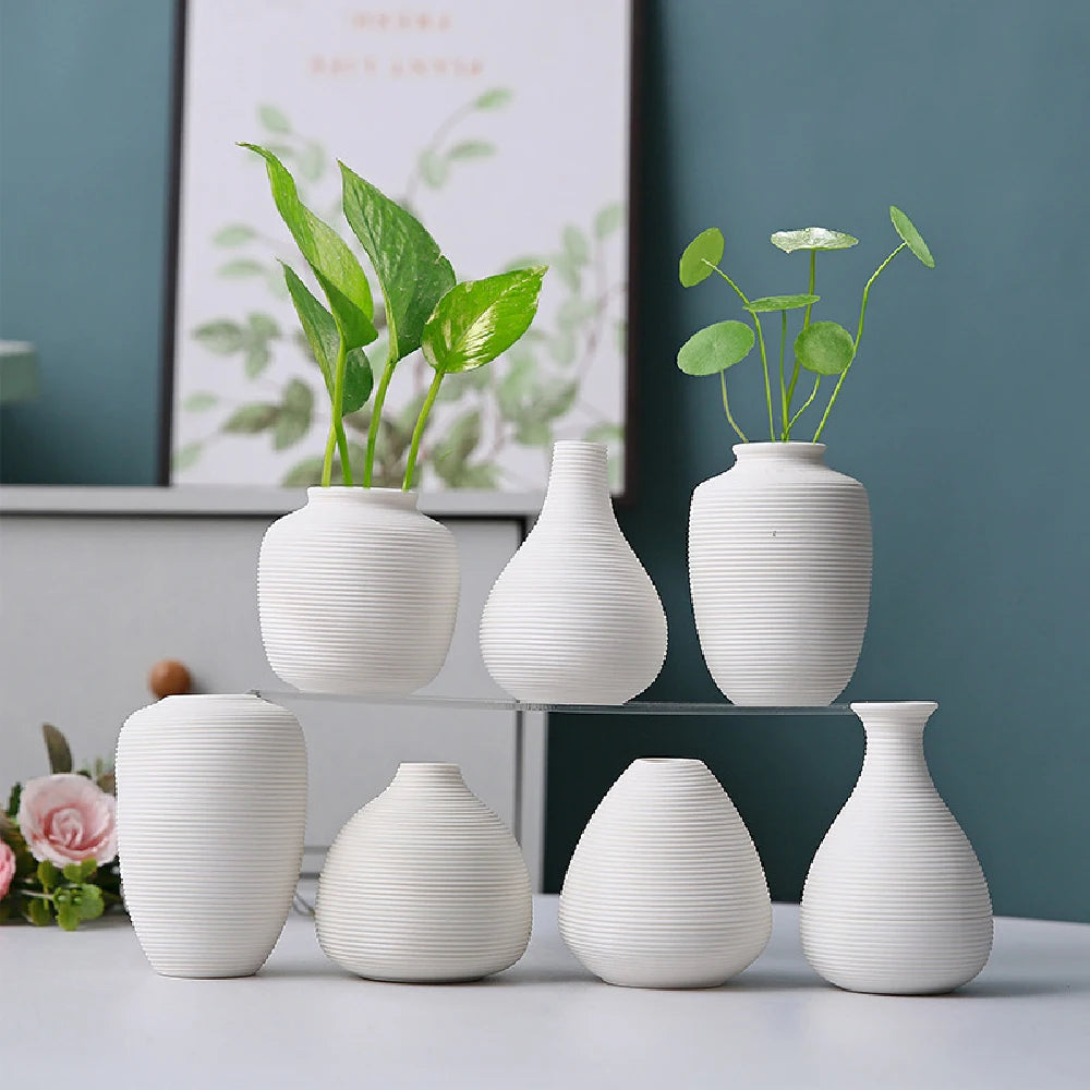 vases céramique noir blanc rayures modernes décoration intérieure plante verte minimaliste