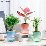 pot plantes moderne bleu vert rose rayures horizontales autoarrosant plante