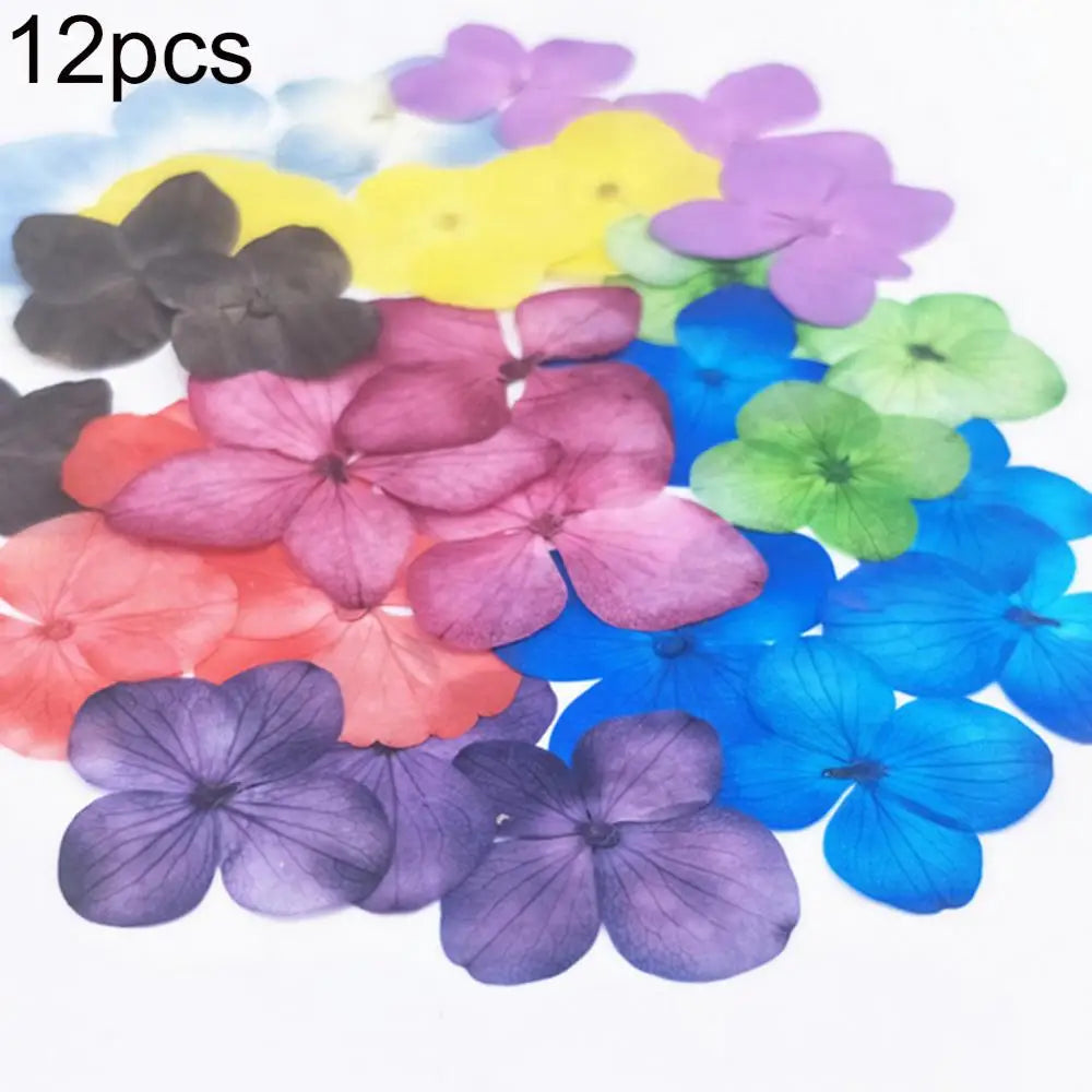 décoration intérieure fleurs artificielles couleurs variées motifs végétaux opaques bricolage coquilles téléphones