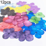 décoration intérieure fleurs artificielles couleurs variées motifs végétaux opaques bricolage coquilles téléphones