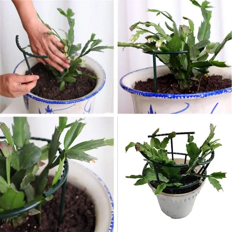 support plante vert foncé clips plastique peint pratique fleur grimpante bonsaï jardin arrangement