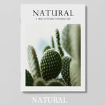 décoration maison magazine romantisque brillant nature ananas plante verte tasse bois clair