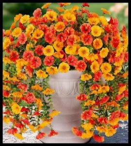 guirlande fleurs artificielles violettes roses jaunes oranges rouges feuilles vertes modernes decoration intérieure mariage