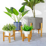 support plante bois moderne minimaliste 12.3cm 14.3cm 19.3cm 25.8cm