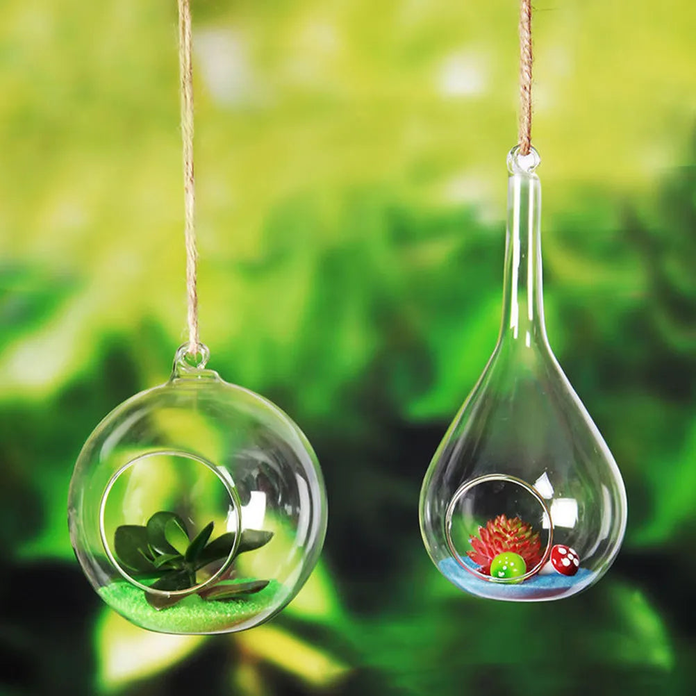 vase suspendu verre transparent moderne plante succulente sable pierre verte rougeintérieur décoration hydroponiePropagation jarres