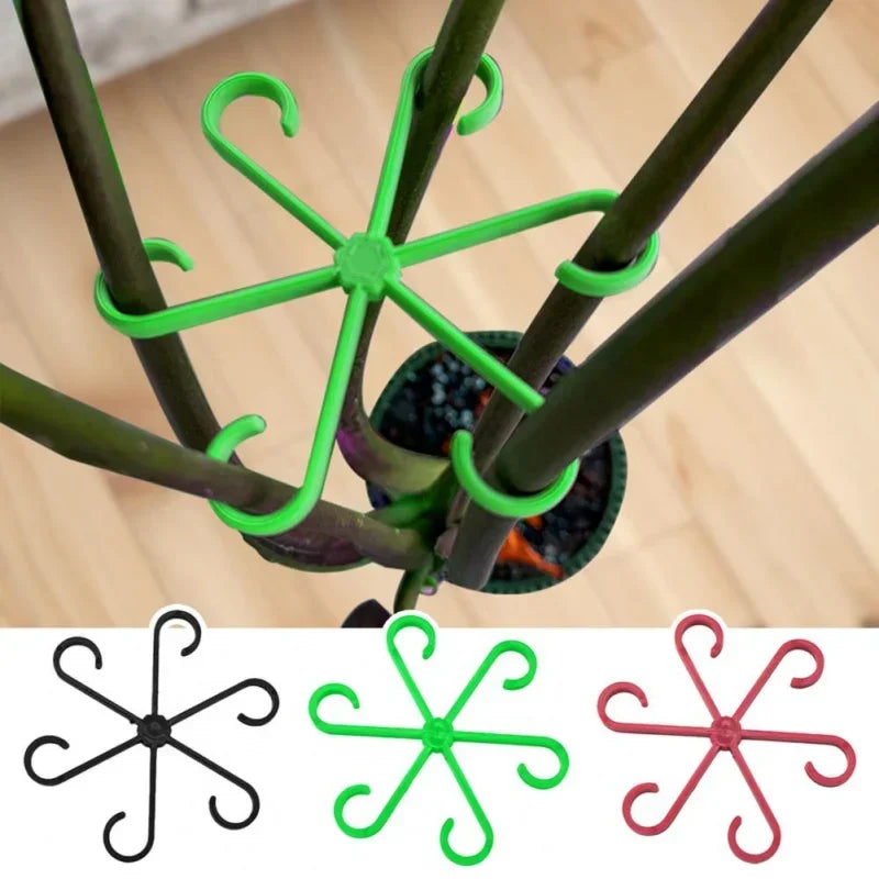 groupeurs tiges plantes étoile six crochets vert noir rouge moderne jardin intérieur