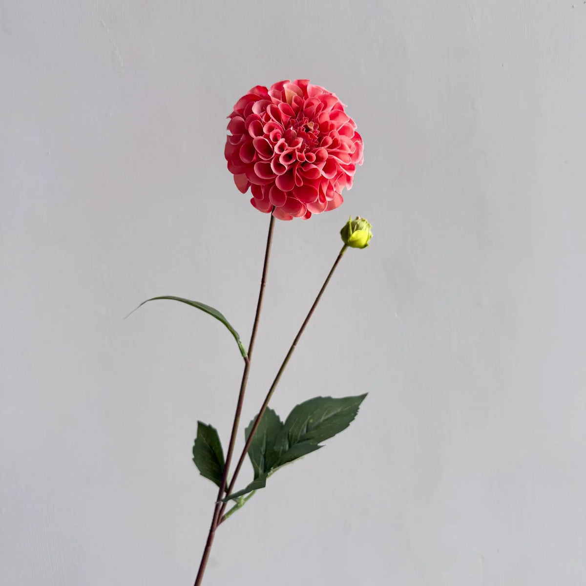 bouquet dahlias artificiels rose blanc rouge violet orange détaillés intérieur mariage festiveDecoration