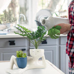 porte pots résine blanche moderne succulentes cactus plante humoristique decoration intérieure