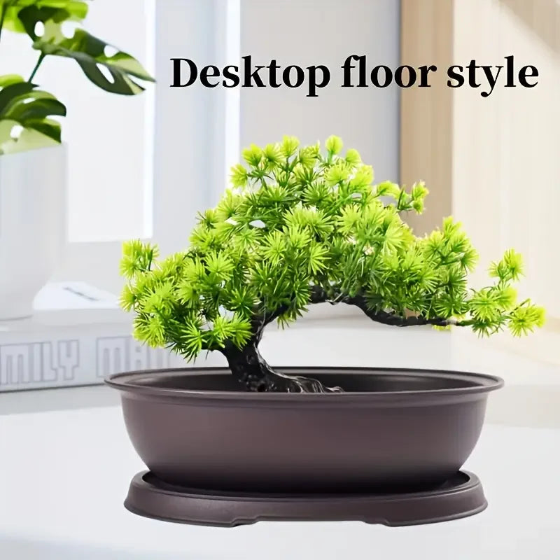 pots fleurs ovales soucoupe drainante bonsaï plante intérieure minimaliste feuilles fines vert clair