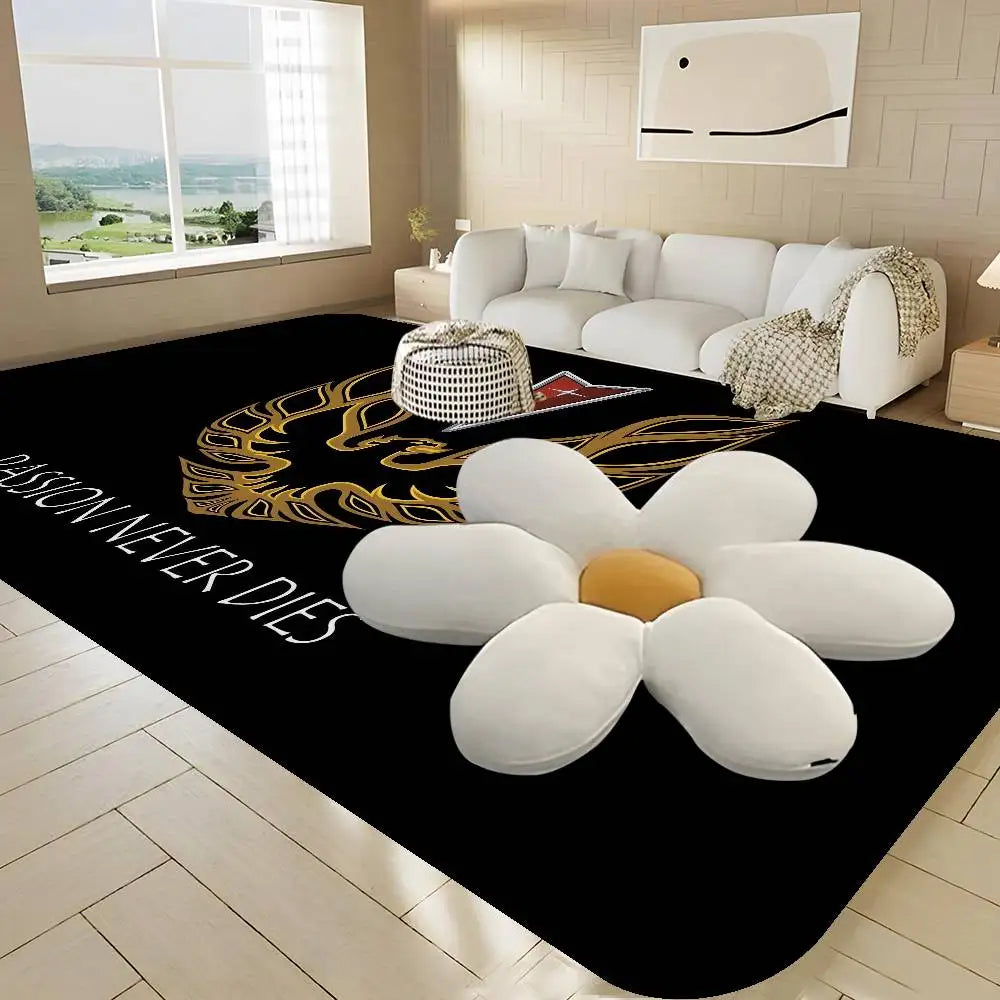 tapis moderne noir phoenix antidérapant graphique passepartout salon chambre 60x90cm