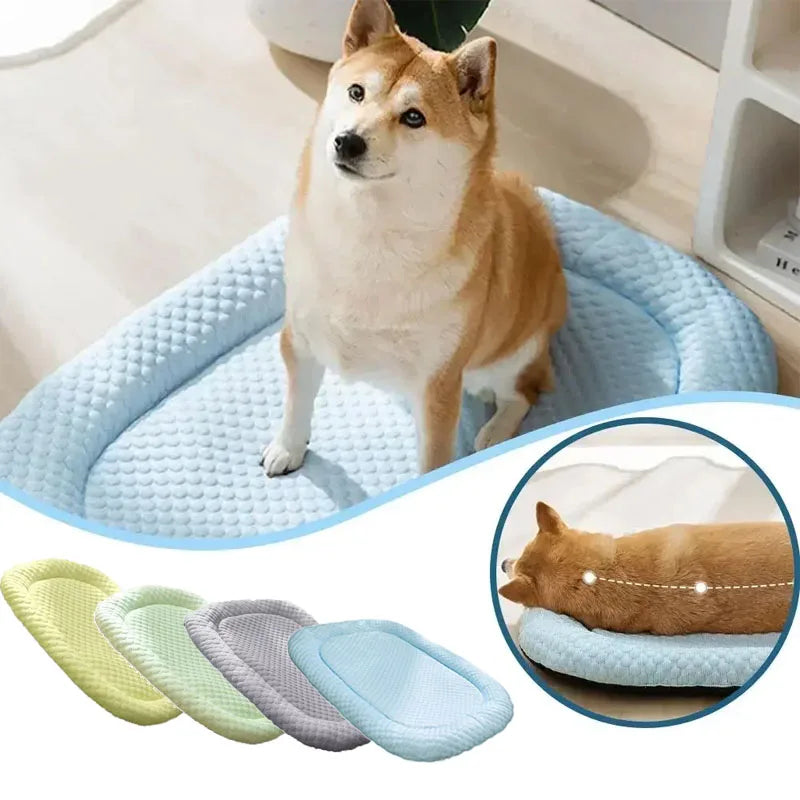 coussin chien respirant coton moderne bleu gris vert doux adhésif