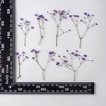 fleurs séchées bouquet naturel violet blanc jaune décoration intérieure minimaliste anniversaire baby shower