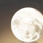 suspension lumineuse moderne ondulée globe lunaire noir blanc beige