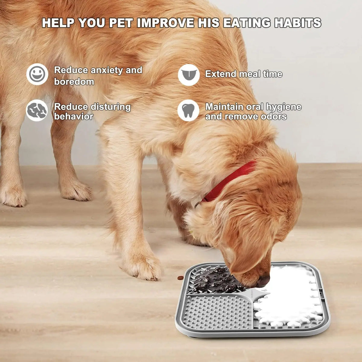 tapis léchage animal silicone antidérapant trous réguliers surface rugueuse moderne vert bleu
