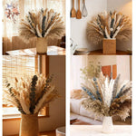 bouquet fleurs séchées eucalyptus roseau pampas beige blanc vert rustique décoration maison anniversaire mariage