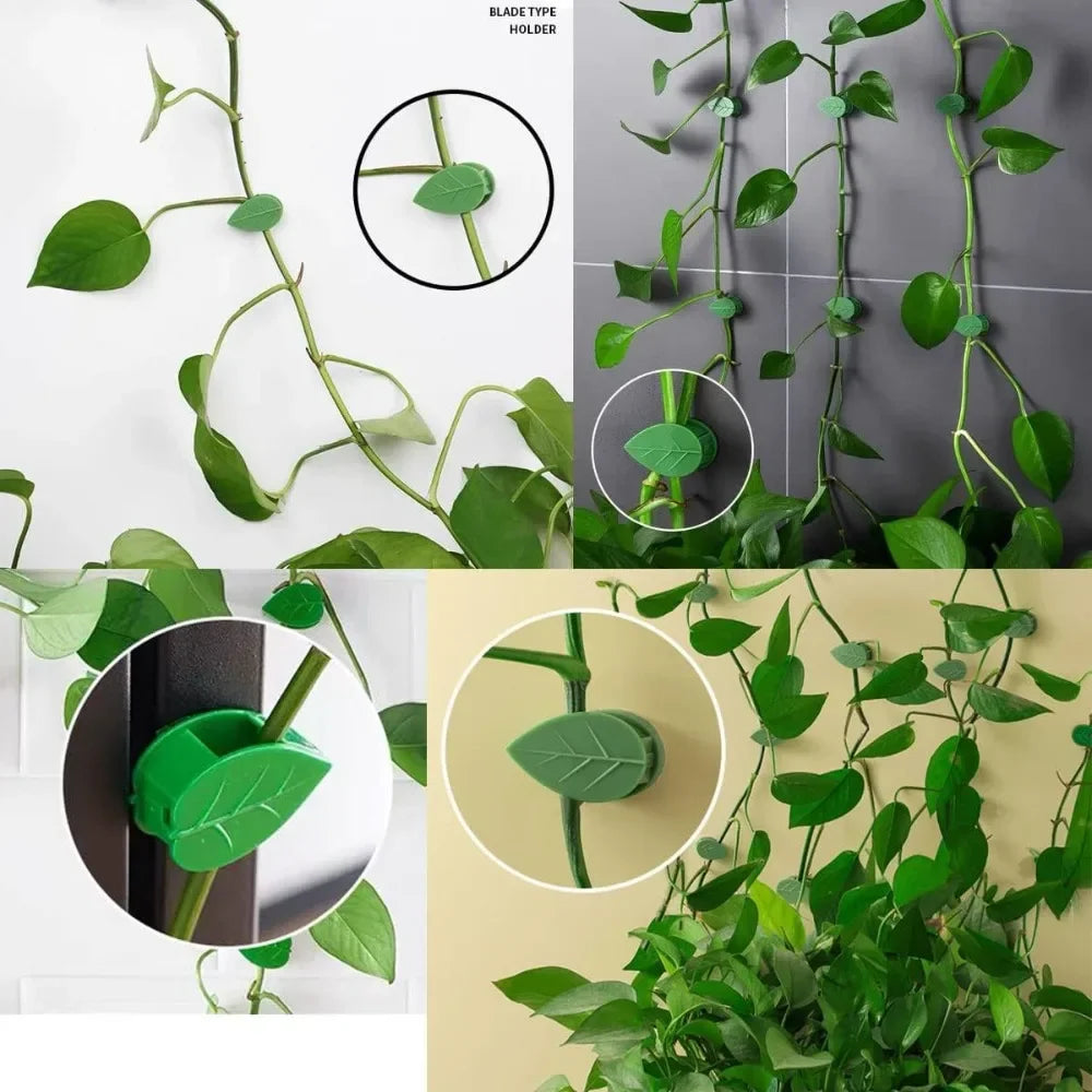 clips fixation murale plantes grimpantes support jardin vert motif feuilles adhésif invisible accessoires