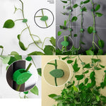 clips fixation murale plantes grimpantes support jardin vert motif feuilles adhésif invisible accessoires